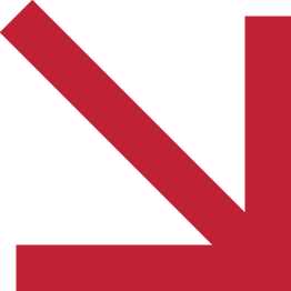 Autonomy Engineering